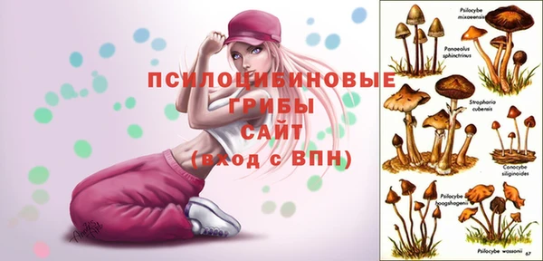 тгк Карталы